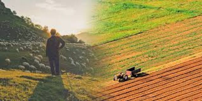 Ά&lambda;&upsilon;&tau;&alpha; &pi;&rho;&omicron;&beta;&lambda;ή&mu;&alpha;&tau;&alpha; &alpha;&gamma;&rho;&omicron;&tau;ώ&nu; &kappa;&alpha;&iota; &kappa;&tau;&eta;&nu;&omicron;&tau;&rho;ό&phi;&omega;&nu;