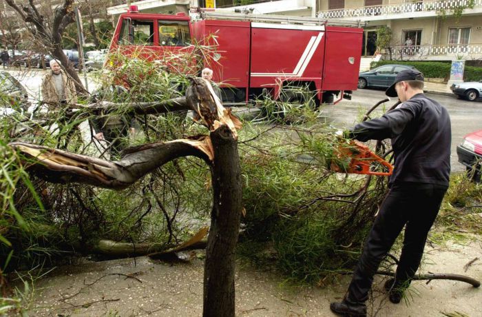 Κλάδεμα δέντρων στην πλατεία Χορτατσών