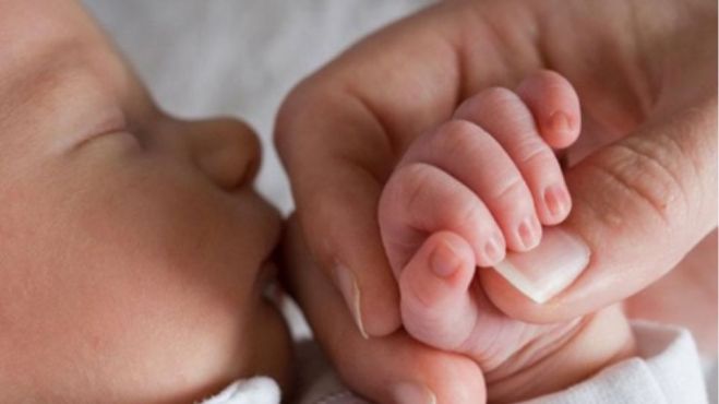 &Tau;&rho;ί&alpha; &mu;&omega;&rho;ά&kappa;&iota;&alpha; &gamma;&epsilon;&nu;&nu;ή&theta;&eta;&kappa;&alpha;&nu; &tau;&eta;&nu; &Pi;&rho;&omega;&tau;&omicron;&chi;&rho;&omicron;&nu;&iota;ά &tau;&omicron;&upsilon; 2019 &sigma;&tau;&alpha; &Chi;&alpha;&nu;&iota;ά