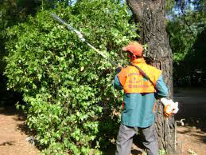 &Sigma;&upsilon;&nu;&epsilon;&chi;ί&zeta;&omicron;&nu;&tau;&alpha;&iota; &omicron;&iota; &epsilon;&rho;&gamma;&alpha;&sigma;ί&epsilon;&sigmaf; &kappa;&lambda;&alpha;&delta;έ&mu;&alpha;&tau;&omicron;&sigmaf; &alpha;&pi;ό &tau;&omicron; &Delta;ή&mu;&omicron; &Chi;&alpha;&nu;ί&omega;&nu; &sigma;&tau;&eta;&nu; &Pi;&lambda;&alpha;&tau;&epsilon;ί&alpha; &Chi;&omicron;&rho;&tau;&alpha;&tau;&sigma;ώ&nu;