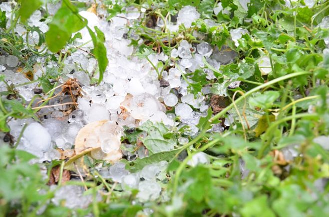 &Pi;&alpha;&rho;&alpha;&lambda;&alpha;&beta;ή &pi;&omicron;&rho;&iota;&sigma;&mu;ά&tau;&omega;&nu; &gamma;&iota;&alpha; &alpha;&nu;&alpha;&gamma;&gamma;&epsilon;&lambda;ί&epsilon;&sigmaf; &zeta;&eta;&mu;&iota;ώ&nu;