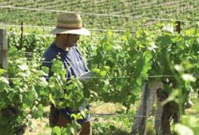 &Sigma;&tau;ή&rho;&iota;&xi;&eta; &zeta;&eta;&tau;&omicron;ύ&nu; &omicron;&iota; &omicron;&iota;&nu;&omicron;&pi;&omicron;&iota;&omicron;ί &tau;&eta;&sigmaf; &Kappa;&rho;ή&tau;&eta;&sigmaf;