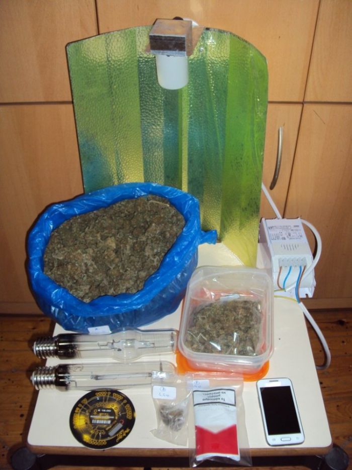 &Epsilon;ί&chi;&epsilon; &kappa;ά&nu;&nu;&alpha;&beta;&eta; &alpha;&lambda;&lambda;ά &kappa;&alpha;&iota; &sigma;ύ&nu;&epsilon;&rho;&gamma;&alpha; &upsilon;&delta;&rho;&omicron;&pi;&omicron;&nu;&iota;&kappa;ή&sigmaf; &kappa;&alpha;&lambda;&lambda;&iota;έ&rho;&gamma;&epsilon;&iota;&alpha;&sigmaf;