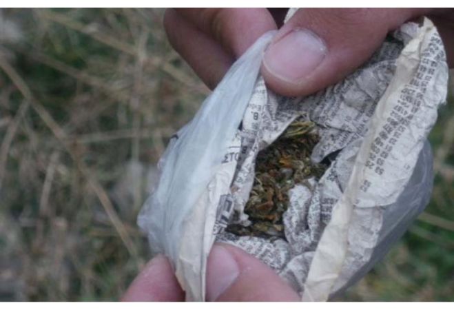 &Eta; &kappa;ά&nu;&nu;&alpha;&beta;&eta; &tau;&omicron;&nu; έ&kappa;&alpha;&nu;&epsilon;... &pi;&lambda;&omicron;ύ&sigma;&iota;&omicron;