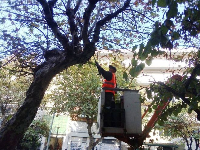 &Kappa;&lambda;ά&delta;&epsilon;&mu;&alpha; &delta;έ&nu;&tau;&rho;&omega;&nu; &sigma;&tau;&eta;&nu; &omicron;&delta;ό &Eta;&rho;ώ&omega;&nu; &Pi;&omicron;&lambda;&upsilon;&tau;&epsilon;&chi;&nu;&epsilon;ί&omicron;&upsilon;