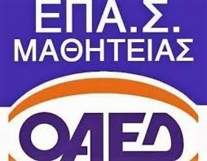Οι ειδικότητες για το ΕΠΑΣ Μαθητείας Ταυρωνίτη