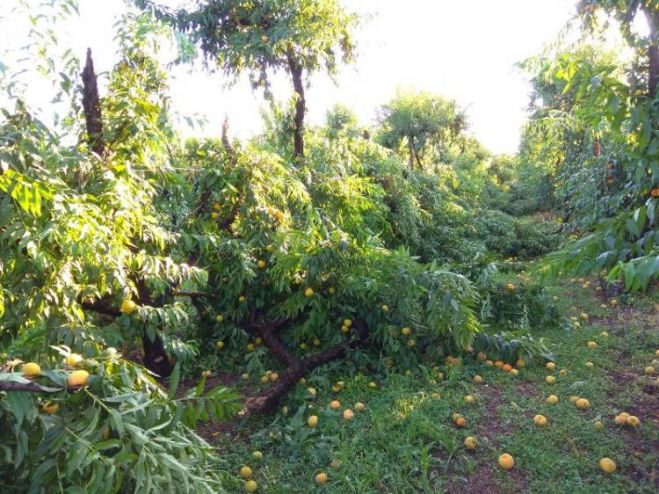 &Alpha;&nu;&alpha;&gamma;&gamma;&epsilon;&lambda;ί&alpha; &zeta;&eta;&mu;&iota;ά&sigmaf; &alpha;&pi;ό &alpha;&nu;&epsilon;&mu;&omicron;&theta;ύ&epsilon;&lambda;&lambda;&alpha;