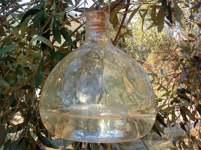 &Epsilon;&upsilon;&rho;&epsilon;ί&alpha; &sigma;&upsilon;&zeta;ή&tau;&eta;&sigma;&eta; &gamma;&iota;&alpha; &tau;&eta; &delta;&alpha;&kappa;&omicron;&kappa;&tau;&omicron;&nu;ί&alpha; &tau;&eta;&nu; &Pi;έ&mu;&pi;&tau;&eta; &sigma;&tau;&omicron; &delta;&eta;&mu;&alpha;&rho;&chi;&epsilon;ί&omicron; &Kappa;&iota;&sigma;&sigma;ά&mu;&omicron;&upsilon;