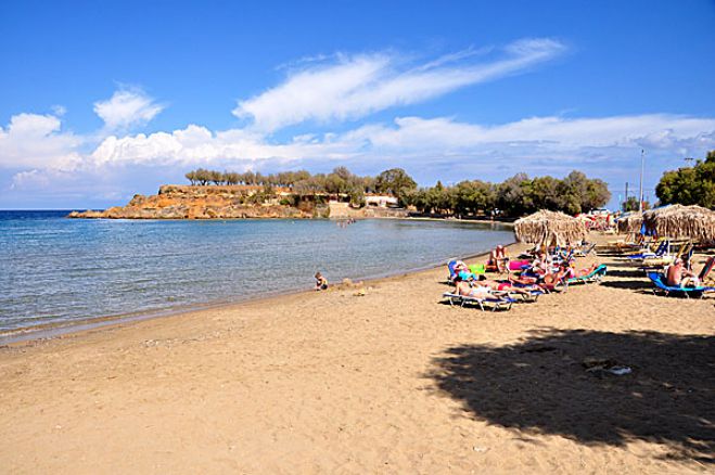 &Sigma;&tau;&eta; &delta;&eta;&mu;&omicron;&pi;&rho;ά&tau;&eta;&sigma;&eta; &alpha;&nu;&alpha;&psi;&upsilon;&kappa;&tau;&eta;&rho;ί&omega;&nu; &pi;&rho;&omicron;&chi;&omega;&rho;ά &omicron; &delta;ή&mu;&omicron;&sigmaf; &Chi;&alpha;&nu;ί&omega;&nu;