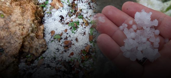 &Sigma;&tau;&eta; &Beta;&omicron;&upsilon;&lambda;ή &eta; &chi;&tau;&epsilon;&sigma;&iota;&nu;ή &chi;&alpha;&lambda;&alpha;&zeta;ό&pi;&tau;&omega;&sigma;&eta; &kappa;&alpha;&iota; &omicron;&iota; &kappa;&alpha;&tau;&alpha;&sigma;&tau;&rho;&omicron;&phi;έ&sigmaf; &tau;&omega;&nu; &pi;&alpha;&rho;&alpha;&gamma;&omega;&gamma;ώ&nu; &tau;&eta;&sigmaf; &Kappa;&rho;ή&tau;&eta;&sigmaf;