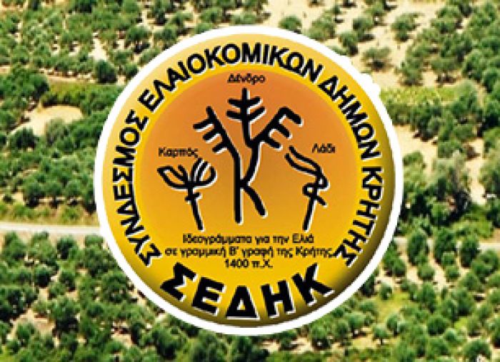 Ο ΣΕΔΗΚ διεκδικεί αποζημιώσεις για τις ζημιές στην ελαιοπαραγωγή
