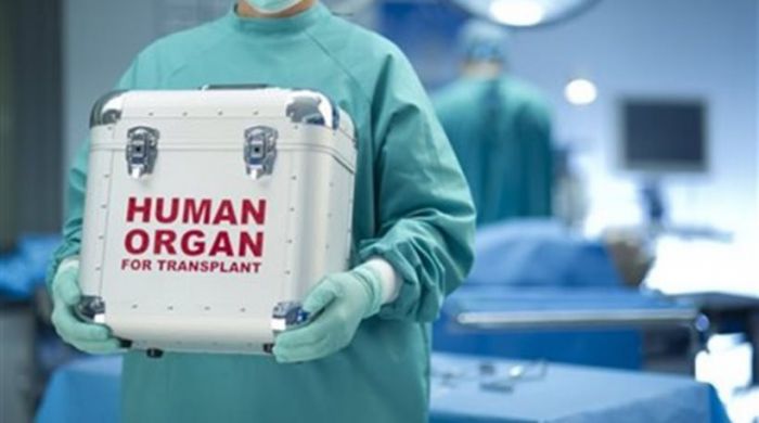 &Chi;&alpha;&rho;ί&zeta;&omicron;&upsilon;&nu; &zeta;&omega;ή &mu;έ&sigma;&alpha; &alpha;&pi;ό &tau;&omicron;&nu; &theta;ά&nu;&alpha;&tau;&omicron; 17&chi;&rho;&omicron;&nu;&omicron;&upsilon; &mu;&epsilon;&tau;ά &alpha;&pi;ό &tau;&rho;&omicron;&chi;&alpha;ί&omicron;