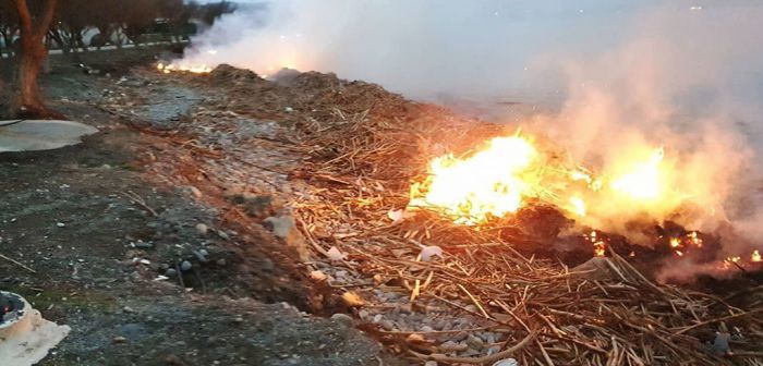 &Delta;&Epsilon;&Delta;&Iota;&Sigma;&Alpha;: &Tau;έ&lambda;&omicron;&sigmaf; &sigma;&tau;&eta;&nu; &alpha;&lambda;ό&gamma;&iota;&sigma;&tau;&eta; &kappa;&alpha;ύ&sigma;&eta; &pi;&lambda;&alpha;&sigma;&tau;&iota;&kappa;ώ&nu; &sigma;&epsilon; &pi;&alpha;&rho;&alpha;&lambda;ί&epsilon;&sigmaf; &tau;&omega;&nu; &Chi;&alpha;&nu;ί&omega;&nu;