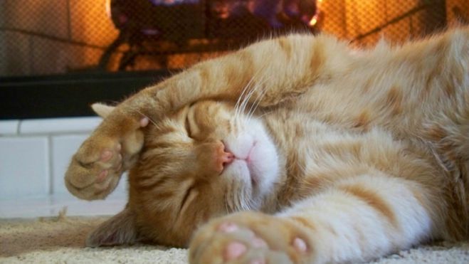 &Beta;&alpha;&rho;&iota;ά "&kappa;&alpha;&mu;&pi;ά&nu;&alpha;" &alpha;&pi;ό &tau;&omicron; &Delta;&iota;&kappa;&alpha;&sigma;&tau;ή&rho;&iota;&omicron; &gamma;&iota;&alpha; &mu;&alpha;&zeta;&iota;&kappa;ή &delta;&eta;&lambda;&eta;&tau;&eta;&rho;ί&alpha;&sigma;&eta; &gamma;&alpha;&tau;ώ&nu;