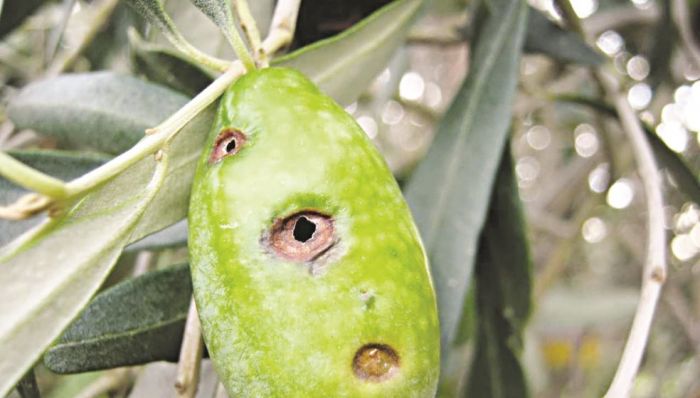 &Zeta;&eta;&mu;&iota;έ&sigmaf; &kappa;&alpha;&iota; &delta;ά&kappa;&omicron;&sigmaf; &sigma;&tau;&omicron; &epsilon;&pi;ί&kappa;&epsilon;&nu;&tau;&rho;&omicron; &sigma;ύ&sigma;&kappa;&epsilon;&psi;&eta;&sigmaf; &sigma;ή&mu;&epsilon;&rho;&alpha;