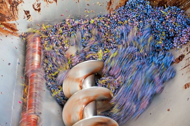 &Delta;ή&lambda;&omega;&sigma;&eta; &sigma;&upsilon;&gamma;&kappa;&omicron;&mu;&iota;&delta;ή&sigmaf; &omicron;&iota;&nu;&omicron;&pi;&omicron;&iota;ή&sigma;&iota;&mu;&omega;&nu; &pi;&omicron;&iota;&kappa;&iota;&lambda;&iota;ώ&nu; &alpha;&mu;&pi;έ&lambda;&omicron;&upsilon;