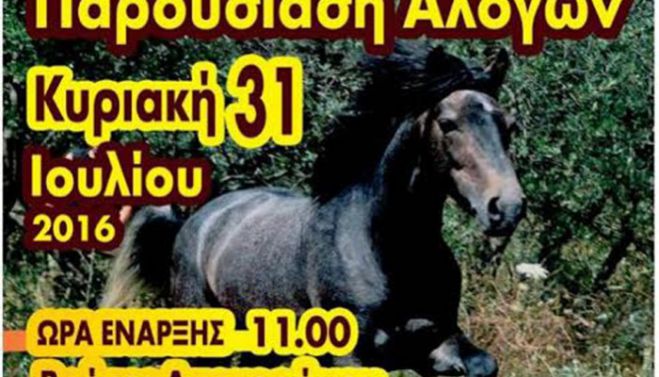Δεύτερη παγκρήτια παρουσίαση αλόγων στις Βρύσες Αποκορώνου