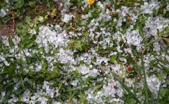 &Alpha;&nu;&alpha;&gamma;&gamma;&epsilon;&lambda;ί&alpha; &zeta;&eta;&mu;&iota;ά&sigmaf; &sigma;&tau;&eta; &Delta;.&Epsilon;. &Theta;&epsilon;&rho;ί&sigma;&omicron;&upsilon; &Delta;ή&mu;&omicron;&upsilon; &Chi;&alpha;&nu;ί&omega;&nu;