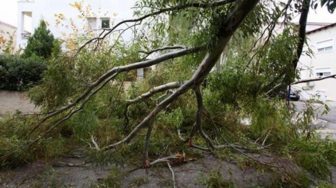 &Eta; &Kappa;&omicron;&mu;&iota;&sigma;&iota;ό&nu; "&sigma;&tau;έ&lambda;&nu;&epsilon;&iota;" 4,5 &epsilon;&kappa;. &sigma;&tau;&eta;&nu; &Kappa;&rho;ή&tau;&eta;