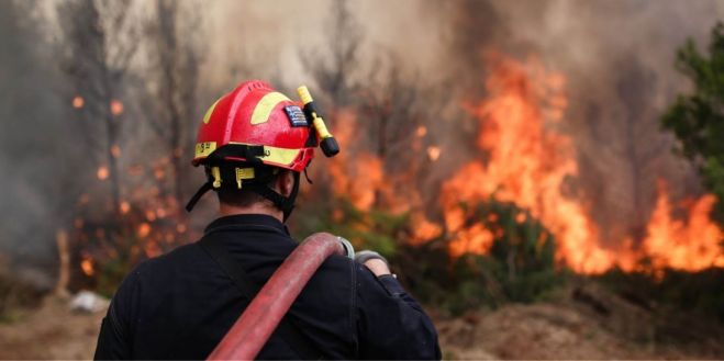 &Omicron;&delta;&eta;&gamma;ί&epsilon;&sigmaf; &gamma;&iota;&alpha; &tau;&eta;&nu; &alpha;&nu;&tau;&iota;&pi;&upsilon;&rho;&iota;&kappa;ή &pi;&epsilon;&rho;ί&omicron;&delta;&omicron; &alpha;&pi;ό &tau;&omicron; &Gamma;&rho;&alpha;&phi;&epsilon;ί&omicron; &Pi;&omicron;&lambda;&iota;&tau;&iota;&kappa;ή&sigmaf; &Pi;&rho;&omicron;&sigma;&tau;&alpha;&sigma;ί&alpha;&sigmaf; &tau;&omicron;&upsilon; &Delta;ή&mu;&omicron;&upsilon; &Eta;&rho;&alpha;&kappa;&lambda;&epsilon;ί&omicron;&upsilon;