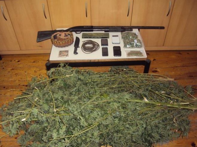 &Delta;ί&mu;&epsilon;&tau;&rho;&alpha; &delta;&epsilon;&nu;&delta;&rho;ύ&lambda;&lambda;&iota;&alpha; &kappa;ά&nu;&nu;&alpha;&beta;&eta;&sigmaf; &kappa;&alpha;&lambda;&lambda;&iota;&epsilon;&rho;&gamma;&omicron;ύ&sigma;&alpha;&nu; &sigma;&epsilon; &pi;&omicron;&iota;&mu;&nu;&iota;&omicron;&sigma;&tau;ά&sigma;&iota;&alpha;