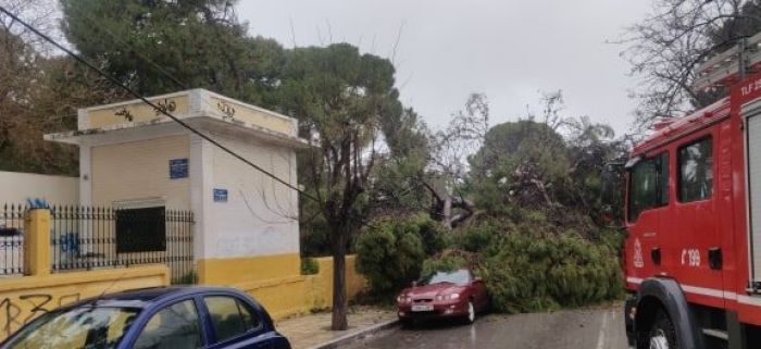 Έ&kappa;&kappa;&lambda;&eta;&sigma;&eta; &tau;&omicron;&upsilon; &Delta;ή&mu;&omicron;&upsilon; &Chi;&alpha;&nu;ί&omega;&nu;: &laquo;&Omicron;&iota; &pi;&omicron;&lambda;ί&tau;&epsilon;&sigmaf; &nu;&alpha; &mu;&eta;&nu; &pi;&lambda;&eta;&sigma;&iota;ά&zeta;&omicron;&upsilon;&nu; &tau;&omicron; &Delta;&eta;&mu;&omicron;&tau;&iota;&kappa;ό &Kappa;ή&pi;&omicron;&raquo;