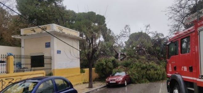 Έ&kappa;&kappa;&lambda;&eta;&sigma;&eta; &tau;&omicron;&upsilon; &Delta;ή&mu;&omicron;&upsilon; &Chi;&alpha;&nu;ί&omega;&nu;: &laquo;&Omicron;&iota; &pi;&omicron;&lambda;ί&tau;&epsilon;&sigmaf; &nu;&alpha; &mu;&eta;&nu; &pi;&lambda;&eta;&sigma;&iota;ά&zeta;&omicron;&upsilon;&nu; &tau;&omicron; &Delta;&eta;&mu;&omicron;&tau;&iota;&kappa;ό &Kappa;ή&pi;&omicron;&raquo;