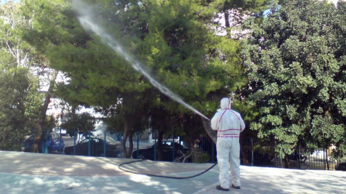 Έρμαιες του ... δάκου πολλές περιοχές