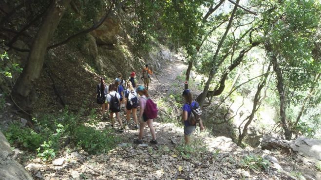 &Pi;&alpha;&iota;&delta;&iota;&kappa;ή &epsilon;&xi;ό&rho;&mu;&eta;&sigma;&eta; &tau;&omicron;&upsilon; &Omicron;&rho;&epsilon;&iota;&beta;&alpha;&tau;&iota;&kappa;&omicron;ύ &Sigma;&upsilon;&lambda;&lambda;ό&gamma;&omicron;&upsilon; &Chi;&alpha;&nu;ί&omega;&nu; &sigma;&tau;&omicron;&nu; &Phi;&omicron;&upsilon;&rho;&nu;έ &Kappa;&upsilon;&delta;&omega;&nu;ί&alpha;&sigmaf;