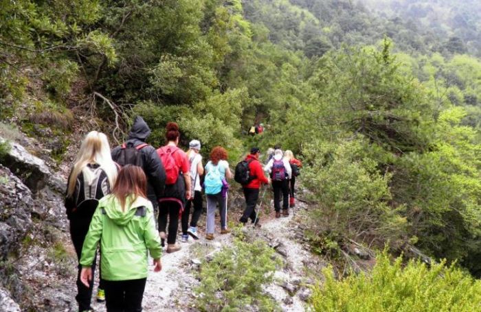 &Pi;&epsilon;&zeta;&omicron;&pi;&omicron;&rho;ί&alpha; &sigma;&tau;&eta;&nu; &Iota;&epsilon;&rho;ά&pi;&epsilon;&tau;&rho;&alpha; &delta;&iota;&omicron;&rho;&gamma;&alpha;&nu;ώ&nu;&epsilon;&iota; &omicron; &Phi;&upsilon;&sigma;&iota;&omicron;&lambda;&alpha;&tau;&rho;&iota;&kappa;ό&sigmaf; &Sigma;ύ&lambda;&lambda;&omicron;&gamma;&omicron;&sigmaf; &Eta;&rho;&alpha;&kappa;&lambda;&epsilon;ί&omicron;&upsilon;