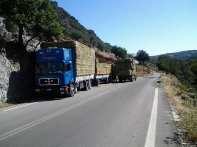 &Beta;&rho;έ&theta;&eta;&kappa;&epsilon; &tau;&omicron; &kappa;&lambda;&epsilon;&mu;&mu;έ&nu;&omicron; &phi;&omicron;&rho;&tau;ί&omicron; &zeta;&omega;&omicron;&tau;&rho;&omicron;&phi;ώ&nu; &pi;&omicron;&upsilon; &epsilon;ί&chi;&epsilon; &kappa;&lambda;&alpha;&pi;&epsilon;ί &pi;&rho;&omicron; &eta;&mu;&epsilon;&rho;ώ&nu;